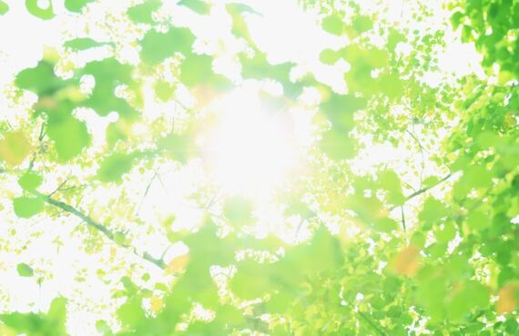 木造住宅について